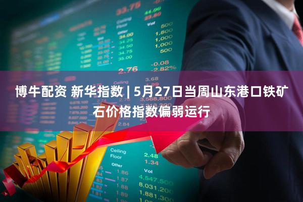 博牛配资 新华指数 | 5月27日当周山东港口铁矿石价格指数偏弱运行
